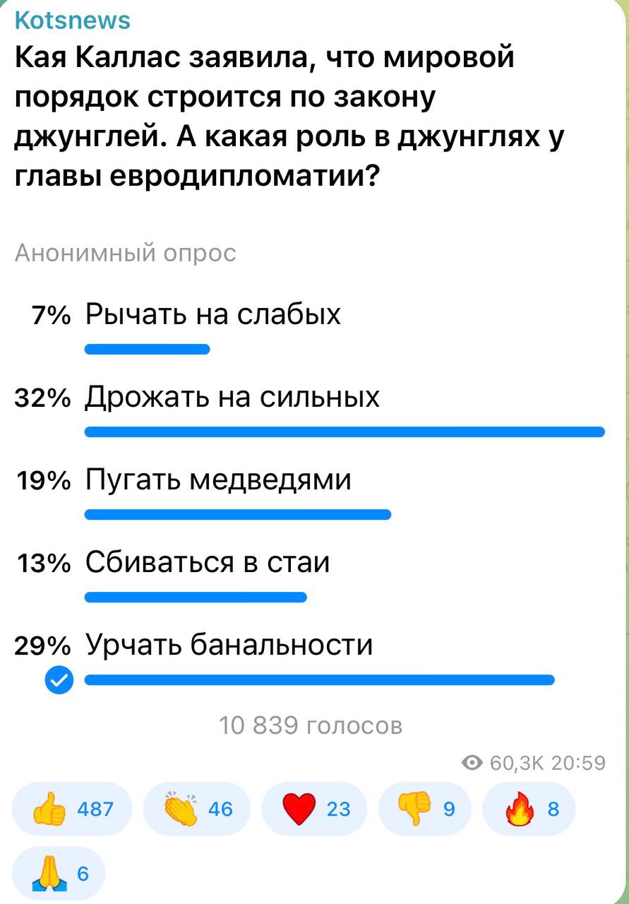 Александр Коц: 32 процента подписчиков считают, что роль Каллас в европейских «джунглях» - дрожать на сильных