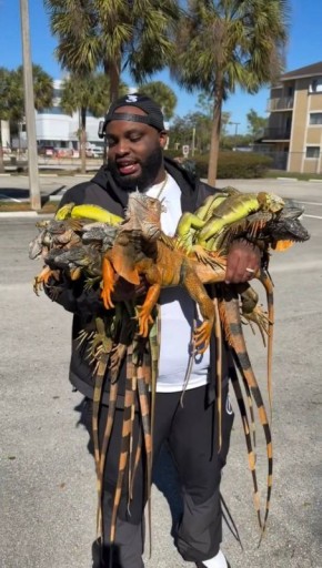 � ��� ��-�� ������� ������� ����������: