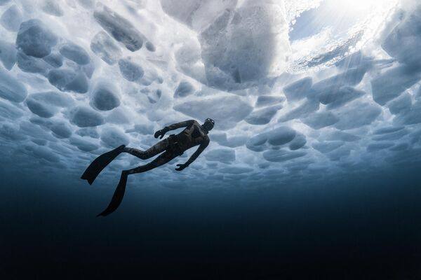 «Уставшая рыба» победила на конкурсе подводной фотографии: «Уставшая рыба» победила на конкурсе подводной фотографии: