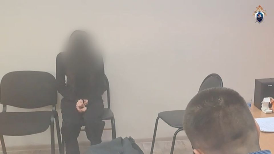 Девочка, напавшая в школе с ножом на сверстницу в Красноярском крае, пыталась изначально ранить учительницу – педагога защитили одноклассники