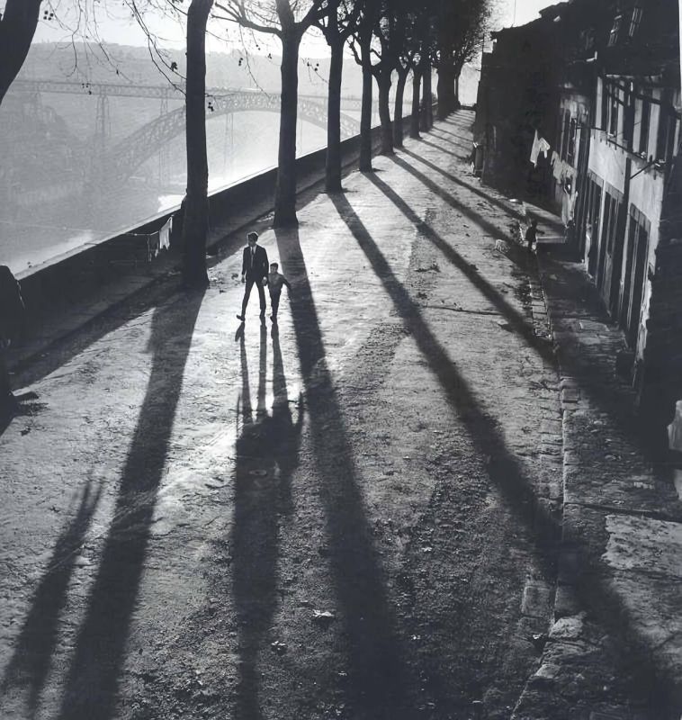 ���� ����: �������� �������� ������� �������