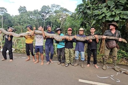 ����� "���������" ���� ����� ������� ����� ���� � ����