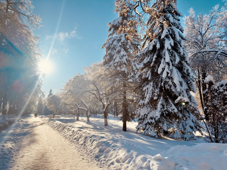 ���������� ����� �������.. �� ����� ����� � ���� ��� ����