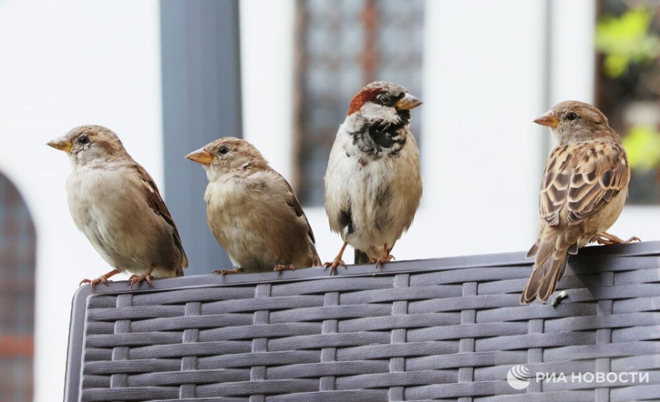 �������� �������� �������� � ������ � �������