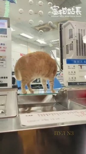 �� ������� ����� ����� ������������ ������� �����: