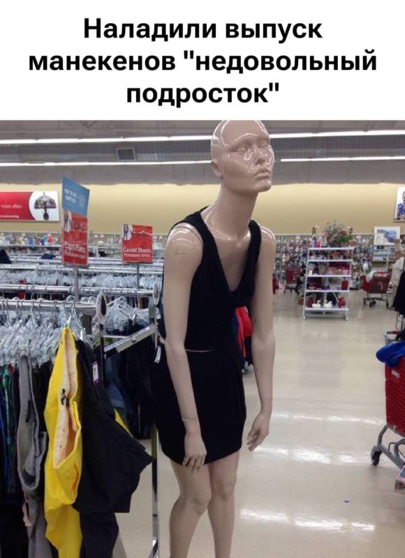 ������ ����������: ����� � ���� ������� ���� ���������� - ������ �� ����� ����� ����� ������ ��������