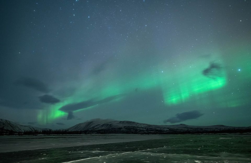 ���� ���. �������� ������ � �������� ������� � ��������� ����� ��������, �����-�������� ���������� �����