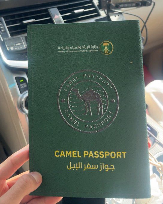 ��������� �������� ����� �������� � ���������� ������