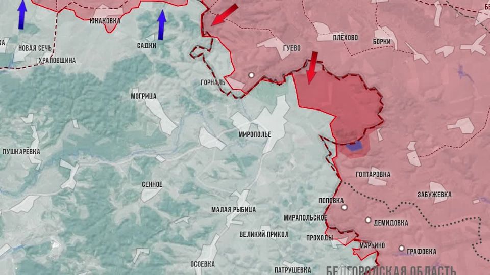 ���� ����: ��������� ������ 5 �������, �����������