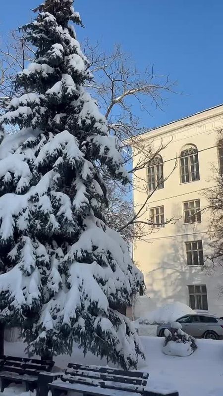 ����� ����, ��� ������ �����