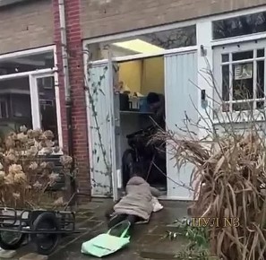 �������� ���� � ��� ����� ������ ������� �� �������: