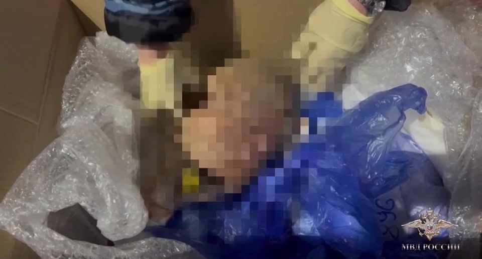 Жуть из Петербурга: главного патологоанатома Александровской больницы задержали по подозрению в торговле органами