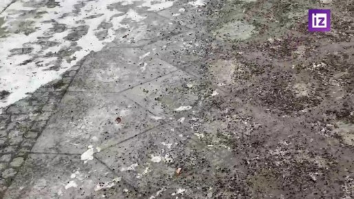 �������� ������-����������� ��������� ��������� ����� ��-�� ������� �������� �������, �������� ������������� "��������"