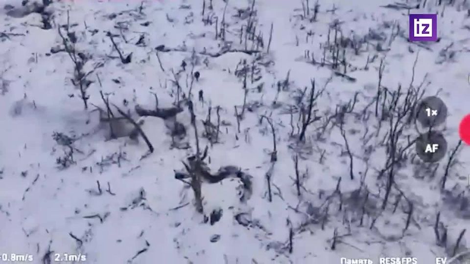 Военнослужащие вооруженных сил России взяли в плен группу солдат ВСУ в Запорожской области, сообщили в Минобороны РФ