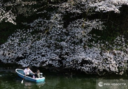 ��������� ������ ������ �������� � ������