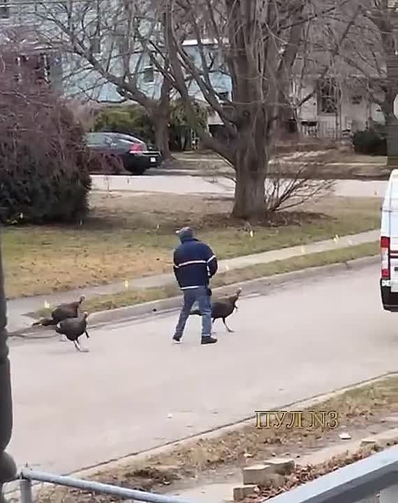 ����� �� ���� ������������ - � ���������� ���� ����� ������� ������������� ������� �������: