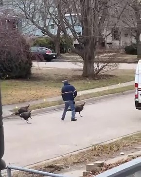 ����� �� ���� ������������ - � ���������� ���� ����� ������� ������������� ������� �������: