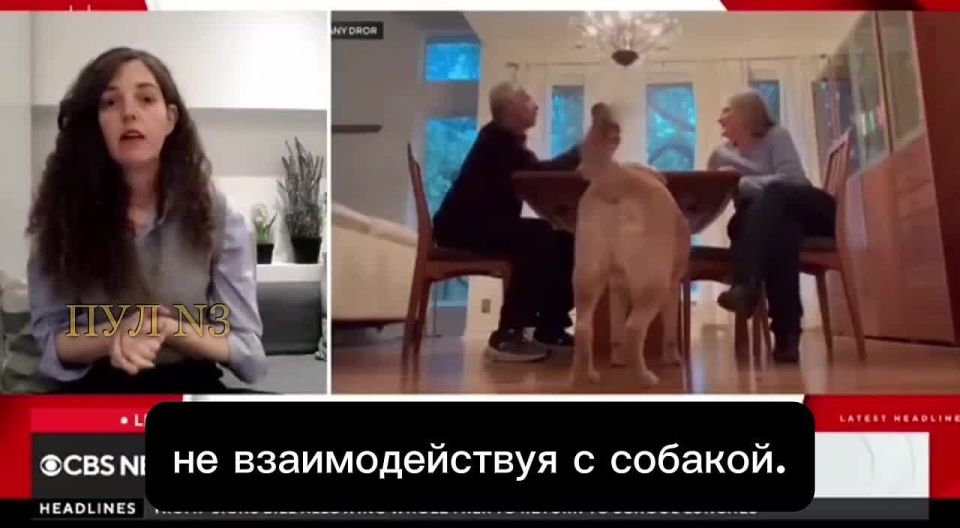 ������ ���� ������ �� ������������� ������������ ���� � � ���, ��� ������ ������������ ����� � ���� ����� �����: