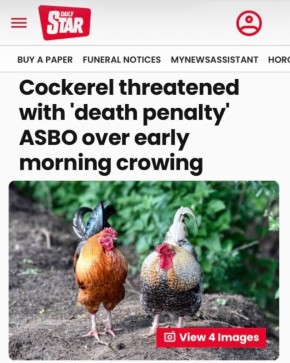 ������� ������ ��������� ������ �� ����������� ���� �����: � �������� ����������� ��������� ����� - 600 ������� ��������� ������� � ����������� �����