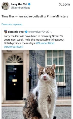 [��� ����� �� �������-����� ��� ����� 15 ��� � �� ��������� ������ ���������� �����