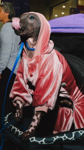 ����� ���������� ������� ������ � �������: