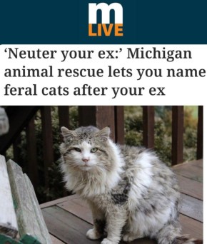 ���������� ������ �������: ����� � �������� ���������� ������ �������� ���������� �� ����� ������� �������