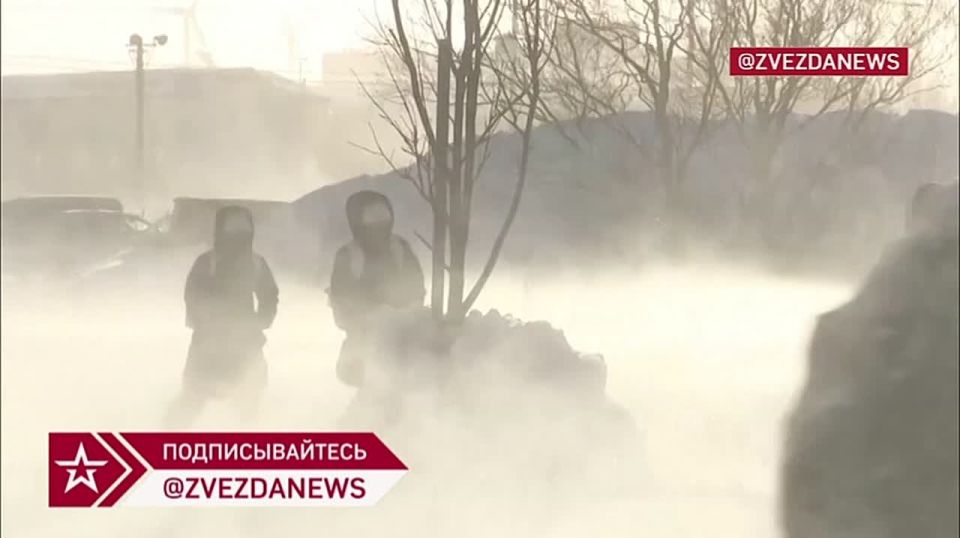 Кажется, на предстоящие выборы в Японии никто не дойдет — страна утопает в сугробах из-за мощных снегопадов