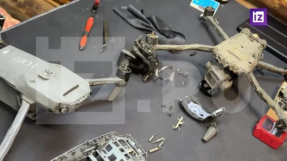 Об уничтожении украинских дронов при помощи специальных оплеток рассказали "Известиям" операторы БПЛА 123-й отдельной гвардейской мотострелковой бригады Южной группировки войск