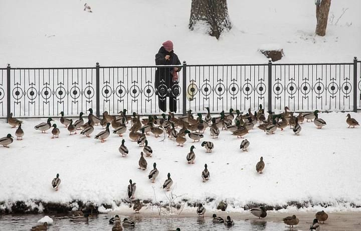 �� ����������� ������ � �������� ������� ��������� ����� ������: �������� � ����� ������ � ������ ������ ������� ����� �������� � ���������� � ����� ������, ������� ������ ���� � ��������� ������� �����