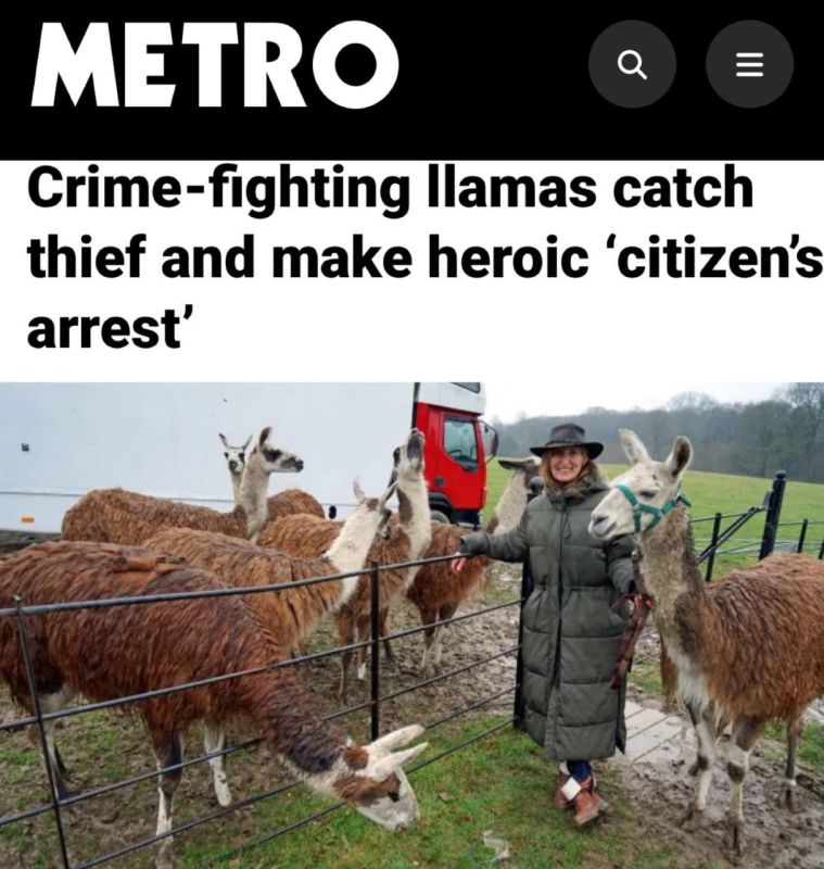 �����, ��������� � �������������, ����� ���� � ��������� ����������� ������������ �����: ���������� ���� ��������� ���� ������� �������