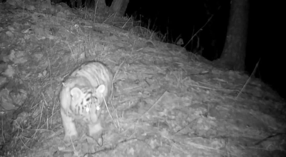 "���������� �������������� �������� � ����� ��������"