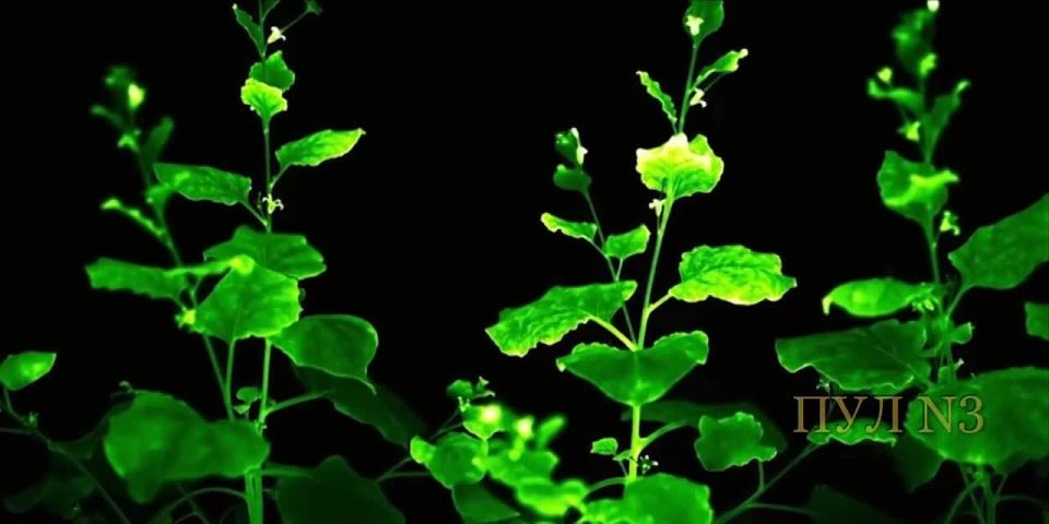 ���������� ������ ������� ������ � ���� ���������� �������� � ������ ������: