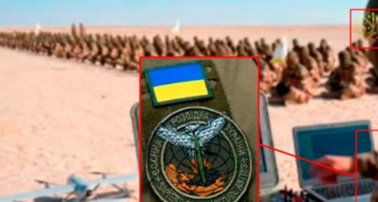 ������� ��������� ����: ���������� ��� ���������� ������� ��������� ����������� � ����, ���������� ������ maliweb, �������� �� ��������� ������� ���������