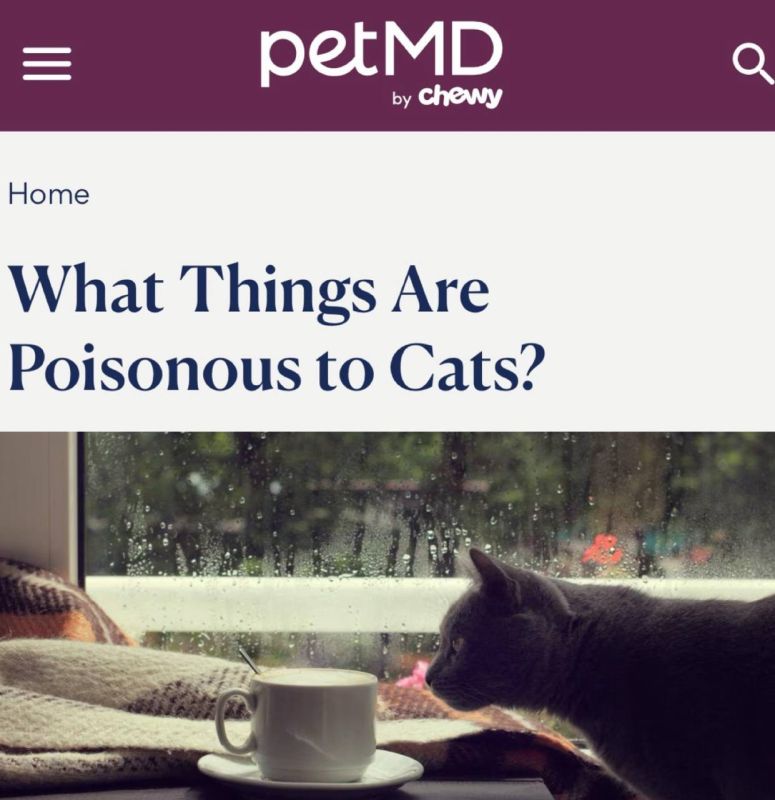 ���� �������� ���� ��� �����: �����, �������, �������, ��� � ������ ����� ����� �������� �������� ���������� � ������ ����� ���� ��� ������� ��������