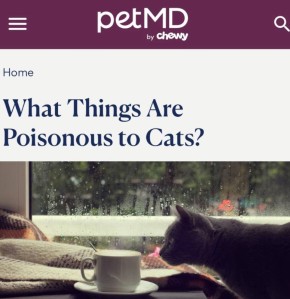 ���� �������� ���� ��� �����: �����, �������, �������, ��� � ������ ����� ����� �������� �������� ���������� � ������ ����� ���� ��� ������� ��������