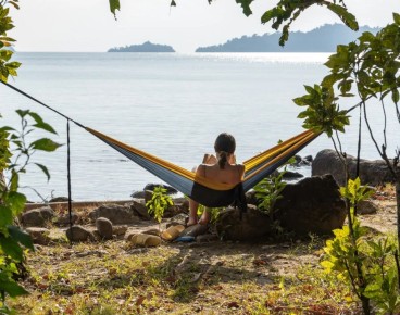 �������, ������� �� ����� ����������: