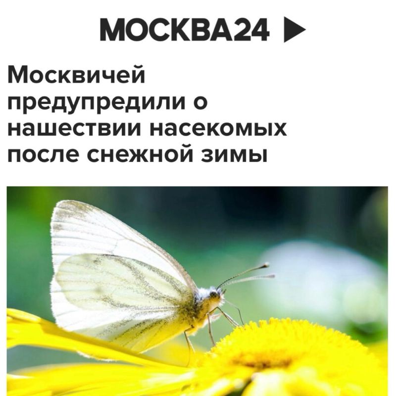 ���������� ������������ � ��������� ��������� ����� ������� �����: ������� ����� ��������� ��������� ������