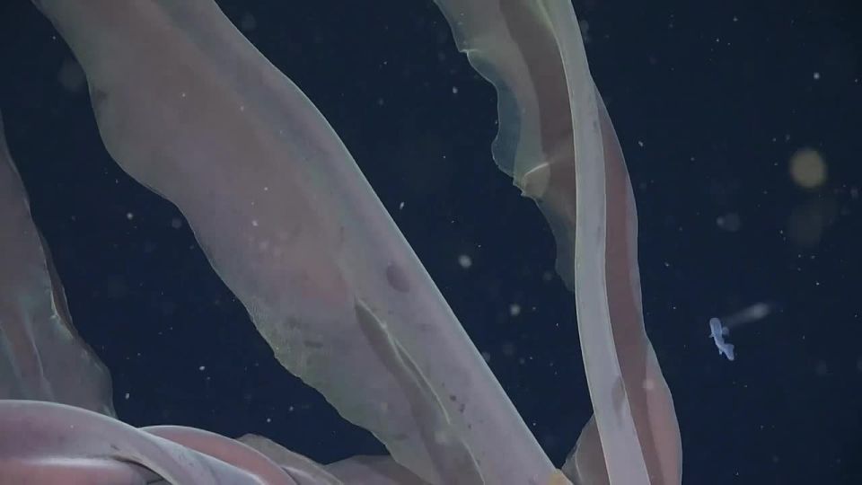 ������ ����� �� ����� ������ ���������� ������-�������� � ������� ���������