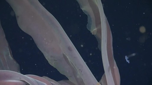 ������ ����� �� ����� ������ ���������� ������-�������� � ������� ���������