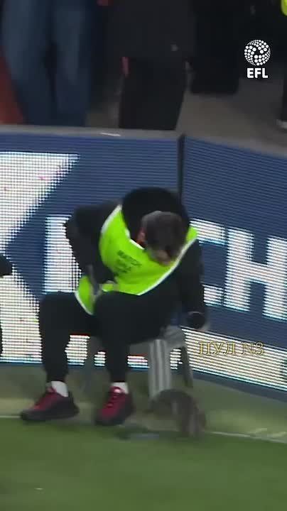 ������� ��� ���������� �����: