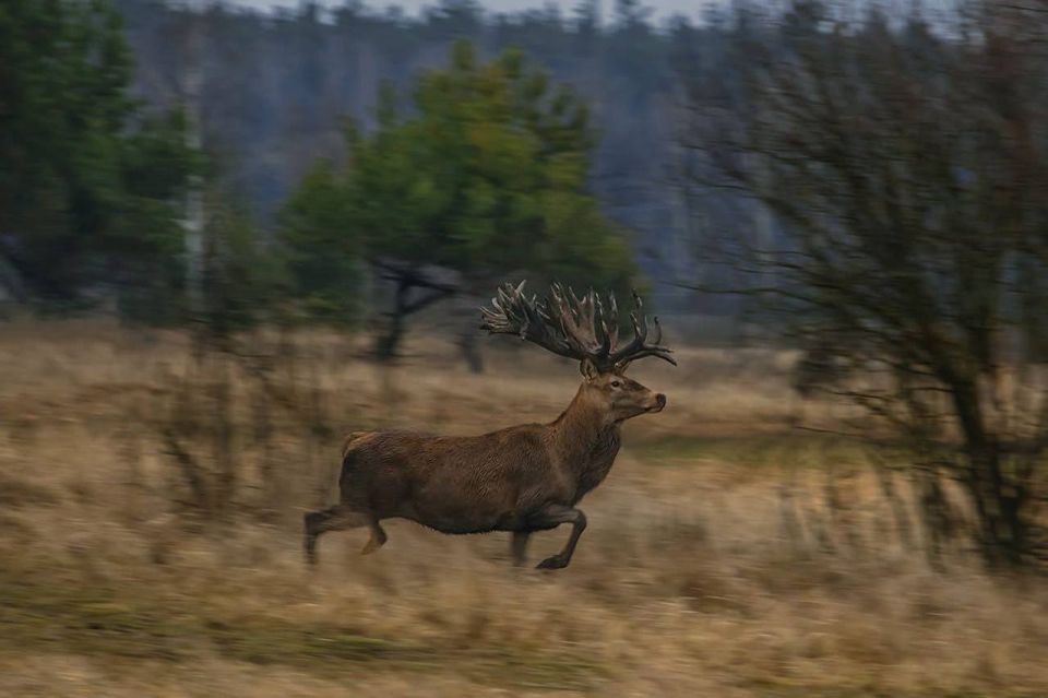 ���� ��������: � �������� ������� ��������� ��������� �����, ���������� ����� ������� ����� � �������