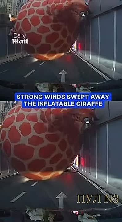 �� ������ ����� �������� �������� �����: