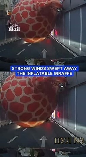 �� ������ ����� �������� �������� �����: