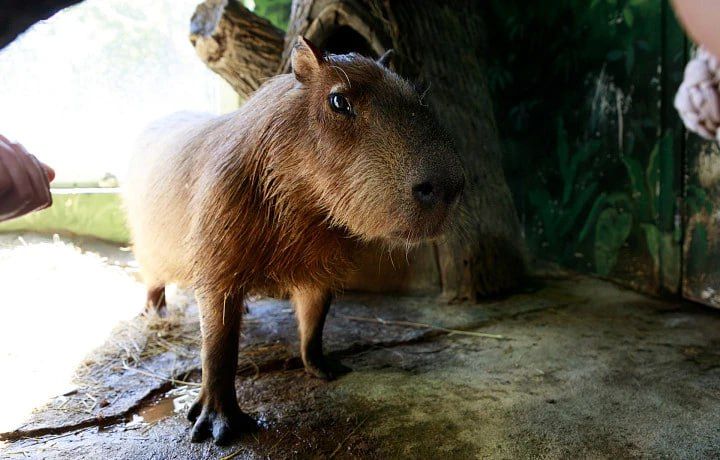 �������� ���������� ������� ���� �������� �������� ���������