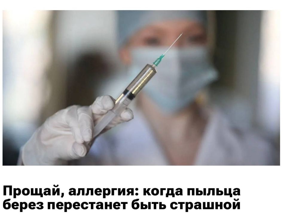 �������, �������� - ����� ������ ����� ���������� ���� ��������: ������� �� �������� �� ������ ����� ���������������� ����� ������ �������� 2026 ����