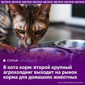 "������" �������� ����� �� ����� ������ ��� �������� �������� � ��������� ����������� ������������ ����� ���������, �������� "���������" ��������, ������� � ��������, � �� �������������