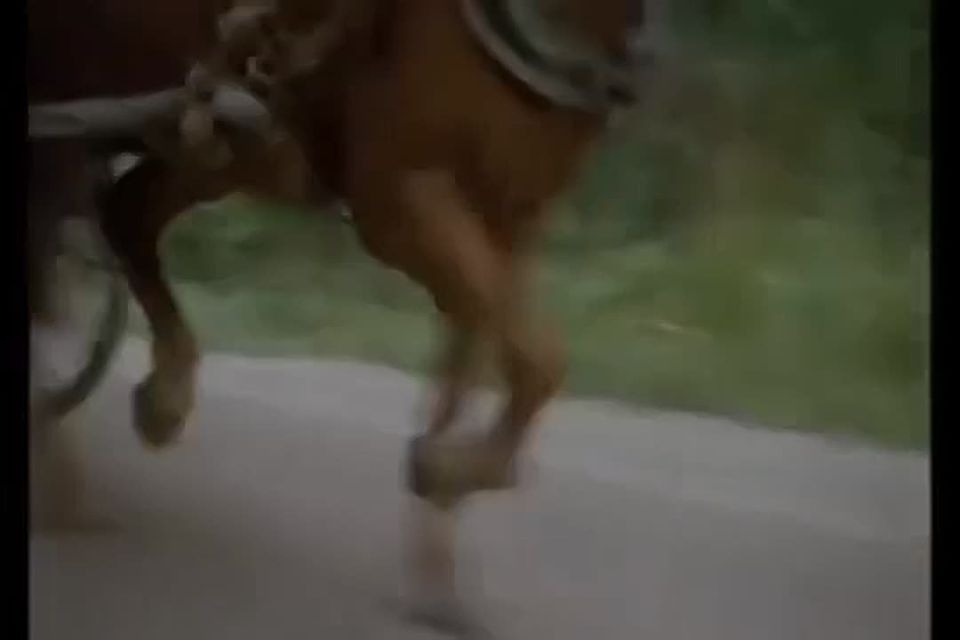 ���� ��������: � ��������� ��� ���������: ��� ����� �� ��������! ������ � �������