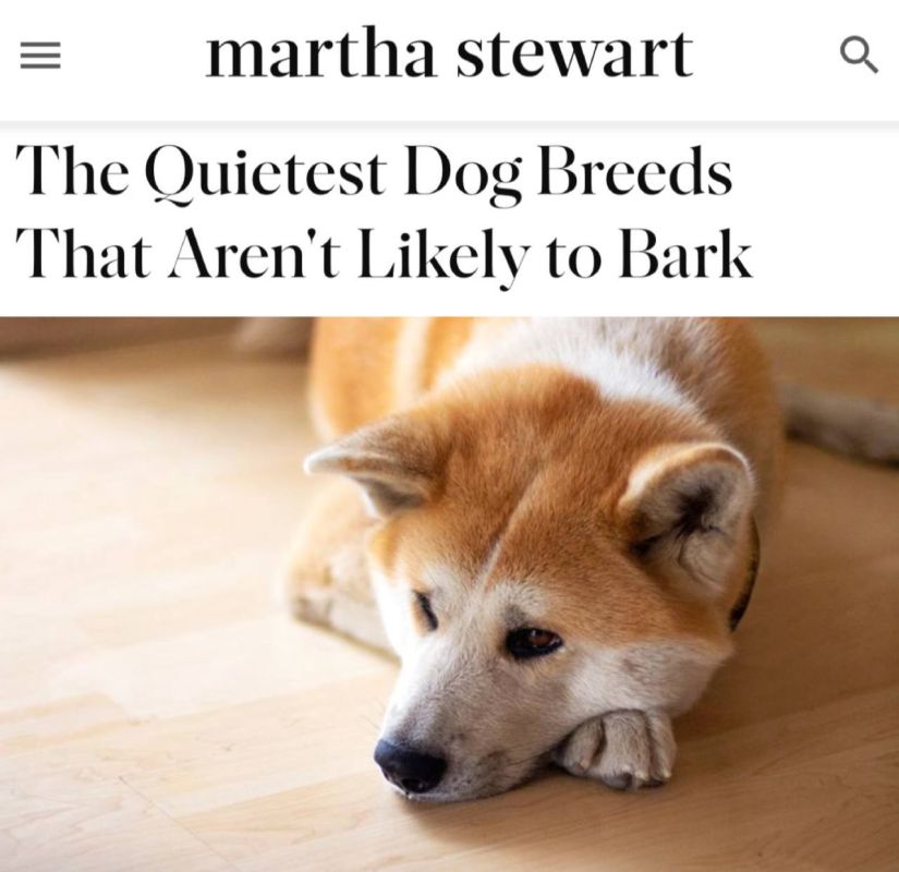 ������ ����� ������, ������� �� �������: ������� ��������, ��� ���� ������ 5 ����� �����, ������� ������� �� ����