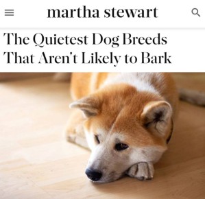 ������ ����� ������, ������� �� �������: ������� ��������, ��� ���� ������ 5 ����� �����, ������� ������� �� ����