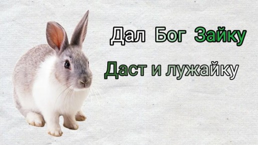 ����� ��������� ��������� ����� � �����������: ����� ���� ������, ��� ��� � ��� �����